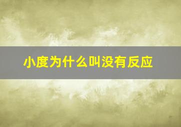 小度为什么叫没有反应