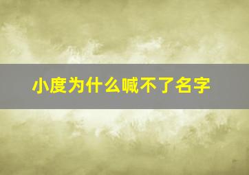 小度为什么喊不了名字