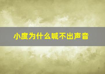 小度为什么喊不出声音