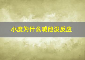 小度为什么喊他没反应