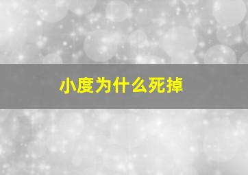 小度为什么死掉