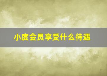 小度会员享受什么待遇