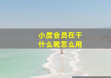 小度会员在干什么呢怎么用