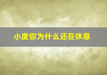 小度你为什么还在休息