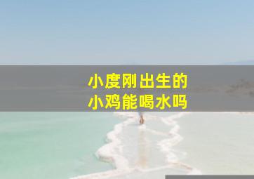 小度刚出生的小鸡能喝水吗