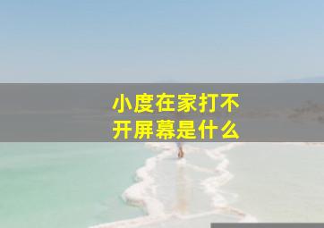 小度在家打不开屏幕是什么