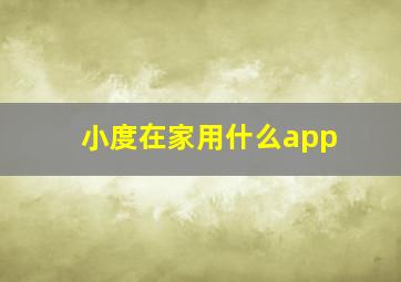 小度在家用什么app