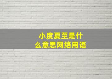 小度夏至是什么意思网络用语