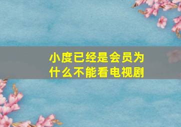 小度已经是会员为什么不能看电视剧