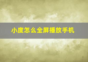 小度怎么全屏播放手机