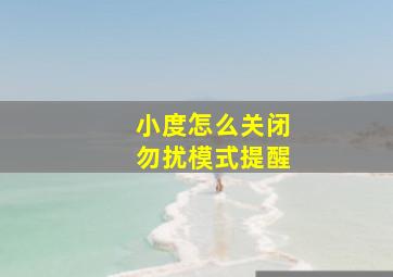 小度怎么关闭勿扰模式提醒