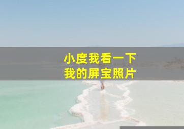 小度我看一下我的屏宝照片