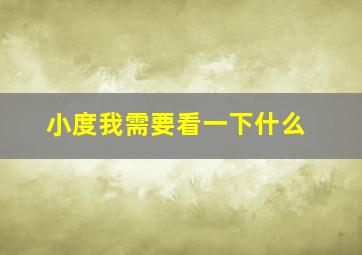 小度我需要看一下什么