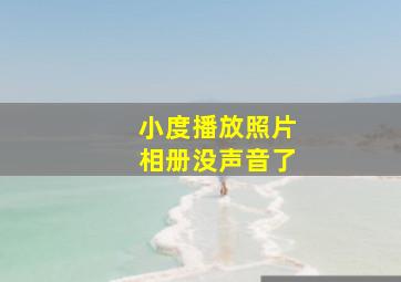 小度播放照片相册没声音了