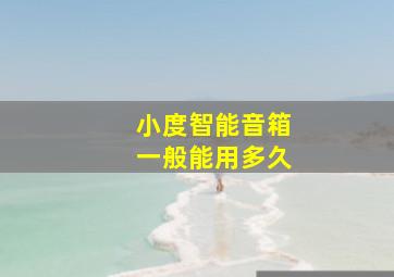 小度智能音箱一般能用多久