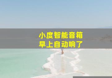 小度智能音箱早上自动响了