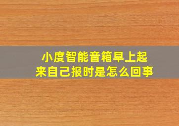 小度智能音箱早上起来自己报时是怎么回事