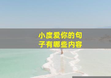 小度爱你的句子有哪些内容