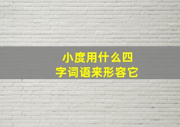 小度用什么四字词语来形容它