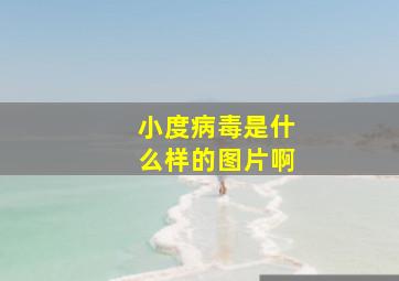 小度病毒是什么样的图片啊