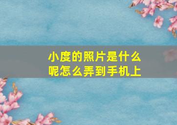 小度的照片是什么呢怎么弄到手机上