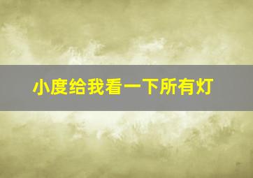 小度给我看一下所有灯