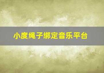 小度绳子绑定音乐平台