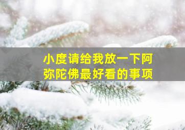 小度请给我放一下阿弥陀佛最好看的事项