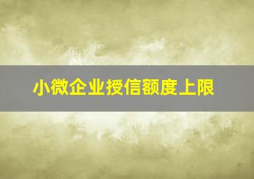 小微企业授信额度上限