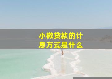 小微贷款的计息方式是什么