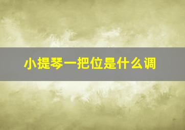 小提琴一把位是什么调