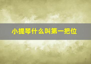 小提琴什么叫第一把位