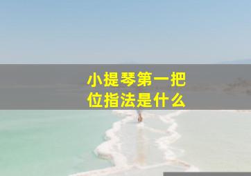 小提琴第一把位指法是什么