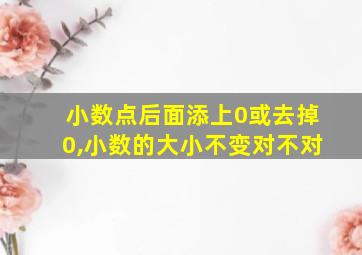 小数点后面添上0或去掉0,小数的大小不变对不对