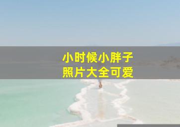 小时候小胖子照片大全可爱