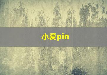 小爱pin