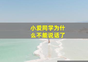 小爱同学为什么不能说话了