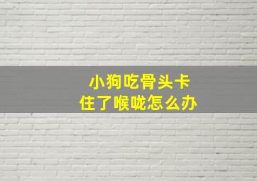 小狗吃骨头卡住了喉咙怎么办