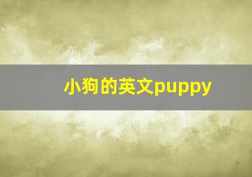 小狗的英文puppy