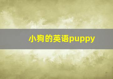 小狗的英语puppy