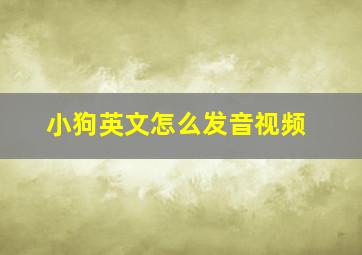 小狗英文怎么发音视频