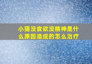 小猫没食欲没精神是什么原因造成的怎么治疗