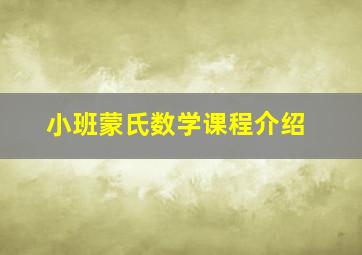 小班蒙氏数学课程介绍