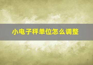 小电子秤单位怎么调整