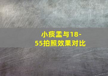 小痰盂与18-55拍照效果对比