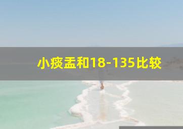 小痰盂和18-135比较