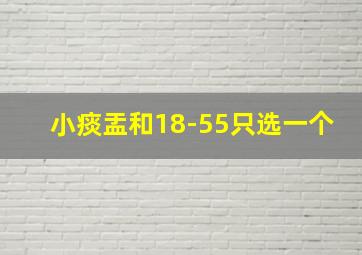 小痰盂和18-55只选一个