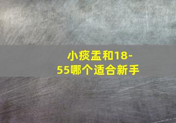 小痰盂和18-55哪个适合新手