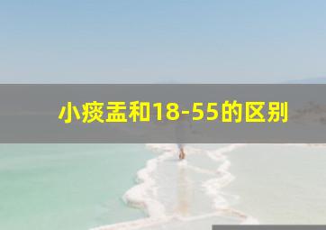 小痰盂和18-55的区别