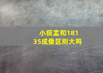 小痰盂和18135成像区别大吗